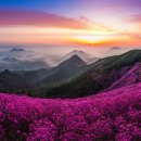 소계시장 이미지