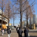 실내체육관보조경기장 | 학생 아이와 겨울 스포츠 관람! 잠실실내체육관 삼성 썬더스 농구 직관 후기 (주차, 명당자리, 준비물...