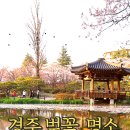 흥신로 이미지