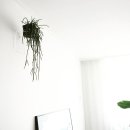 조은꽃식물원 이미지