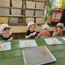 주공농장 이미지