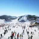 백야식당 이미지