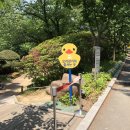 화원동산 주차장 이미지