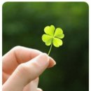 인텔리지세탁소 이미지