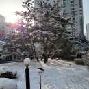 까치부동산중개사무소 이미지