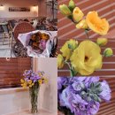 소소한 행복 초록일기 | 남대문 꽃상가 방문 후기 겹스토크 버터플라이 프리지아 가격 셀프 꽃꽂이 초보 경험