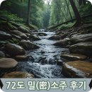 삼오식품 빽빽할 밀 72도 증류식 소주 대구 전통주