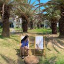 애월류가 이미지