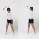 Fun 골프 이미지