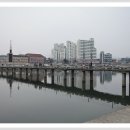 진교중앙길 Daum카페