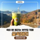 의창-북면-6-비-3 | 창원 북면 카페 힐링이 되는 창원대형카페 숲속아띠