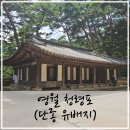 관음송 | 강원도 영월 여행 코스 청령포 단종의 유배지 가볼만한곳, 관음송
