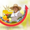 농업회사법인 주식회사 정도 티스토리