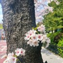 문정초교 이미지