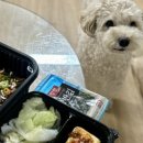 다고미고 이미지