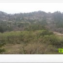 향림축산 이미지