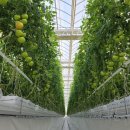 얼쑤농장 이미지