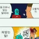 젤리피쉬 이미지