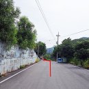 묘동경로당 Daum카페