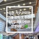 환경로 | 🌱 인천 서구 아이와 가볼 만한 곳 추천! [국립생물자원관생생채움] 전시관 후기 🌿