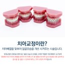 연세바른치과교정과치과의원 이미지