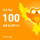 UR(광주광역시)-[비엔날레로]-하-2 | 꽃을 찾아다니는 말벌ajussi