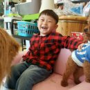 벤지애견 이미지