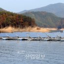 우리태양광발전소 이미지