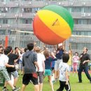 [엄마가 쓰는 해외교육 리포트(28)] 중국 항저우 국제학교 이미지