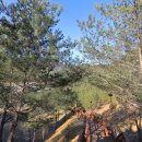 덕구온천계곡=여름에도 시원한 숲속 계곡 트레킹 (약 8km 왕복) 이미지