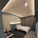 퍼플 315 이미지