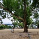 임고초등학교 이미지