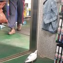 성준자동차공업사 이미지