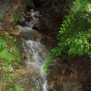 영식농장 이미지