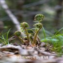 고사리민박 이미지