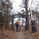 들국화목장 이미지