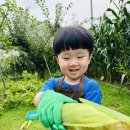 🐣내담반🐣 옥수수 따기 체험🌽 이미지