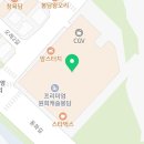 몽실놀다가개