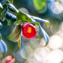 나루터로 27 (3) 이미지