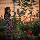 지푸라기 이미지