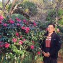 동백꽃공인중개사사무소 이미지