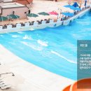 여행치킨 이미지