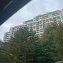 양일목장 | 추석 연휴 2박3일 강원도여행 (2)평창에서 강릉