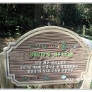 제주 올레길 13코스 이미지