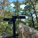 와이(Y)행정사 사무소 | 사패산 도봉산 등산코스 / 사패능선 포대능선 Y계곡 신선대 우이암 원통사