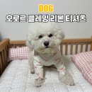 핑크강아지 | 오로르클레망 강아지실내복 리본 티셔츠 핑크 후기