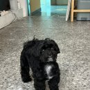 반자주 장산점 이미지