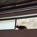 곰양 | 2026.7(1)