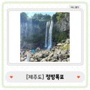 정방 | [제주도] 서귀포에서 꼭 가봐야 하는 아름다운 정방폭포 방문 후기