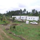 vivere 906 이미지